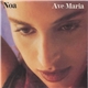 Noa - Ave Maria