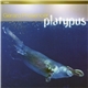 Gerard Presencer - Platypus