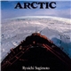 Ryuichi Sugimoto - The Arctic